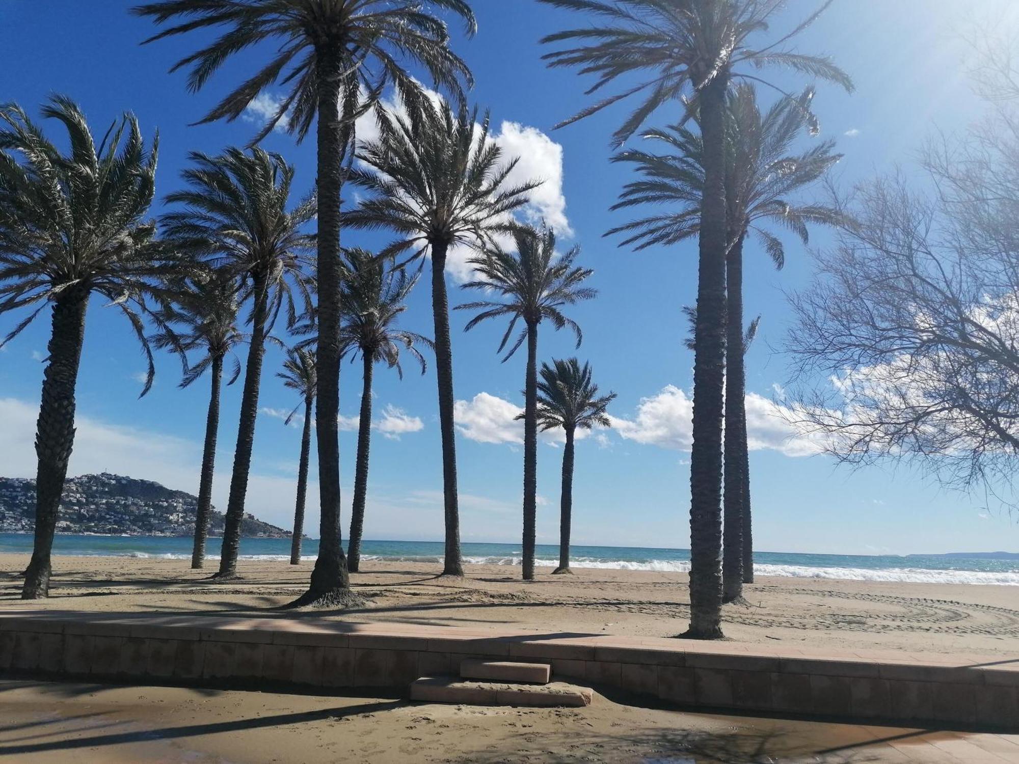 Apartamento Soleado Con Terraza, A/a Y Garaje En Roses, Cerca De Playa Y Parque Natural - Es-258-63 Rosas